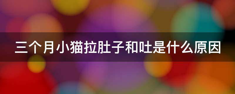 三个月小猫拉肚子和吐是什么原因 3个月大的猫呕吐又是拉稀怎么回事