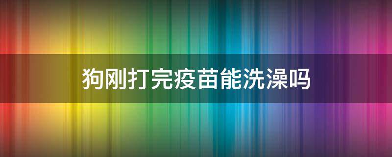 狗刚打完疫苗能洗澡吗（狗打完疫苗能洗澡嘛）