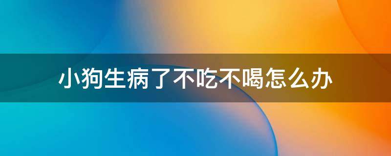 小狗生病了不吃不喝怎么办（狗狗这几天生病了不吃不喝怎么办）