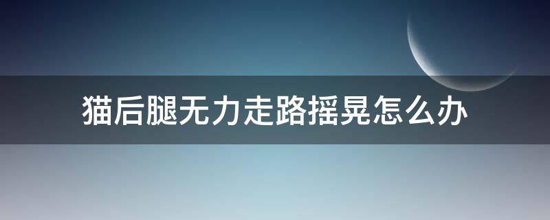 猫后腿无力走路摇晃怎么办 猫后腿不稳走路摇晃