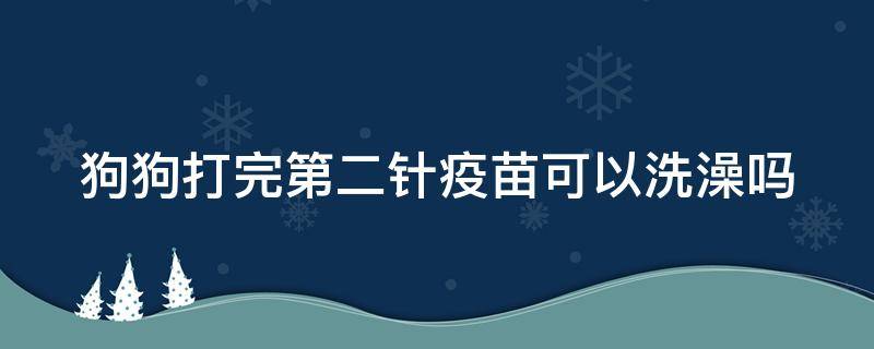 狗狗打完第二针疫苗可以洗澡吗（狗狗打完第二针疫苗可以洗澡吗冬天）