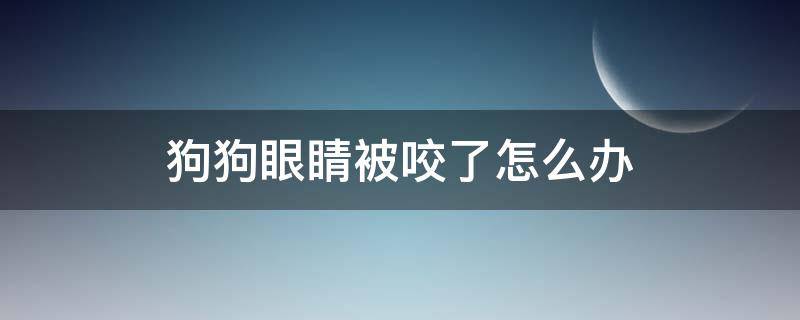 狗狗眼睛被咬了怎么办 狗眼睛被咬伤处理方法