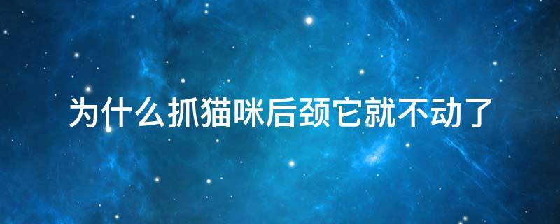 为什么抓猫咪后颈它就不动了 为什么抓猫的后颈肉它就不动了