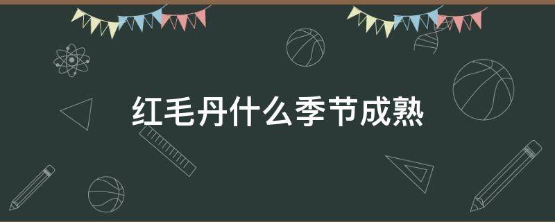 红毛丹什么季节成熟 红毛丹什么时候成熟季节