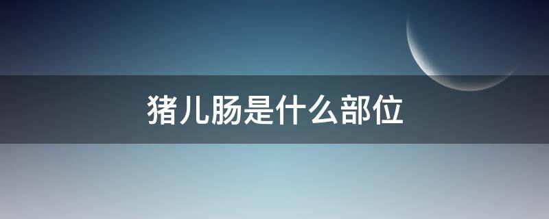 猪儿肠是什么部位 猪儿肠是哪个部位