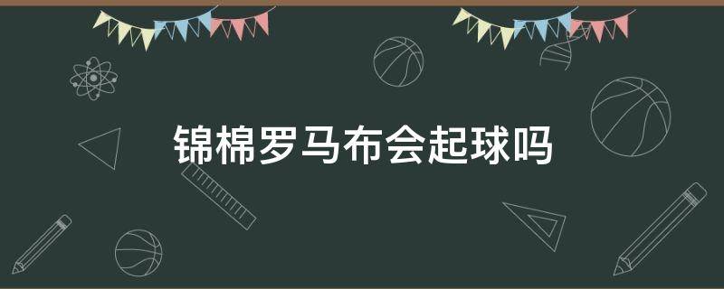 锦棉罗马布会起球吗（罗马锦棉面料会起球吗）