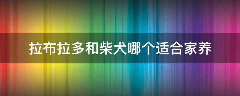 拉布拉多和柴犬哪个适合家养（拉布拉多好养吗,柴犬优缺点分析）