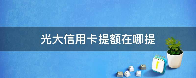 光大信用卡提额在哪提 为什么我的光大信用卡不能提额