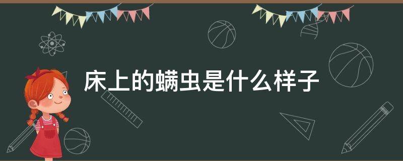 床上的螨虫是什么样子（床上的螨虫是什么螨虫）