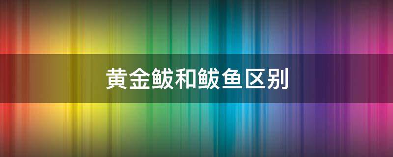 黄金鲅和鲅鱼区别（黄金鲅鱼和鲅鱼区别是什么）