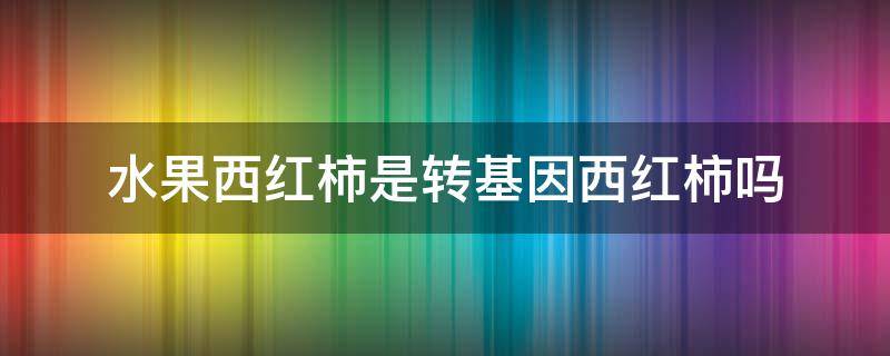 水果西红柿是转基因西红柿吗（水果西红柿是转基因柿子吗）