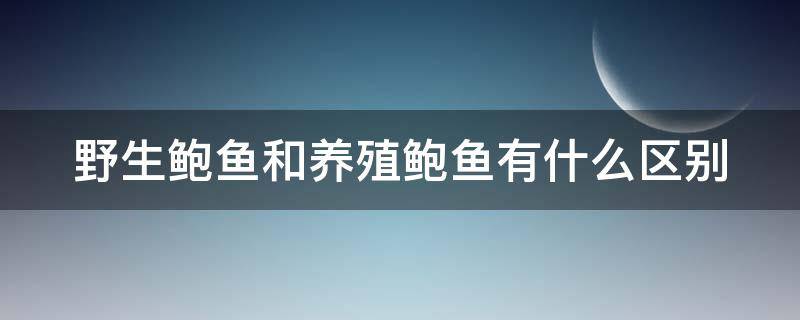 野生鲍鱼和养殖鲍鱼有什么区别 野生鲍鱼跟散养的鲍鱼有啥区别