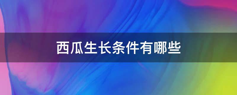 西瓜生长条件有哪些（西瓜生长的适宜温度）