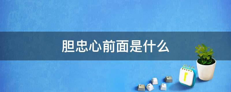 胆忠心前面是什么 胆忠心的前面是什么