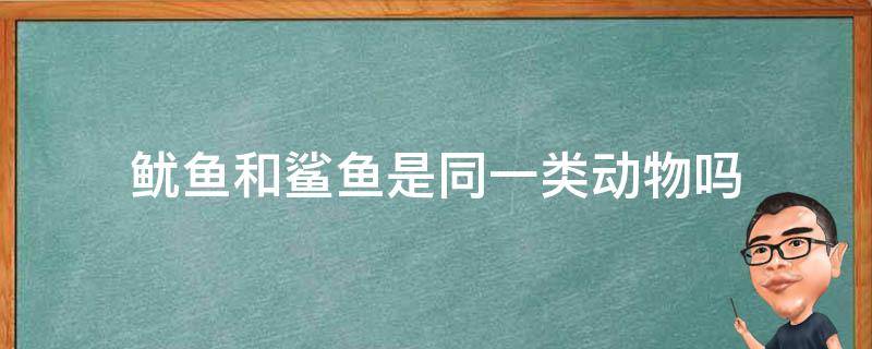 鱿鱼和鲨鱼是同一类动物吗 鱿鱼和章鱼是同一种动物吗