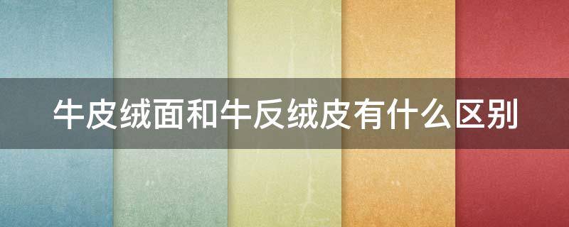 牛皮绒面和牛反绒皮有什么区别（牛皮绒面和牛反绒皮有什么区别呢）