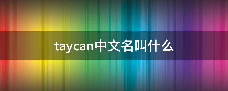 taycan中文名叫什么 taycan中文名叫什么怎么读