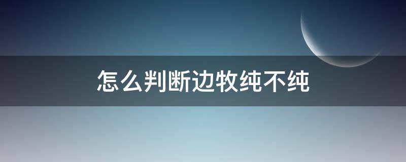 怎么判断边牧纯不纯（边牧纯不纯怎么看么区分边牧是否纯正）