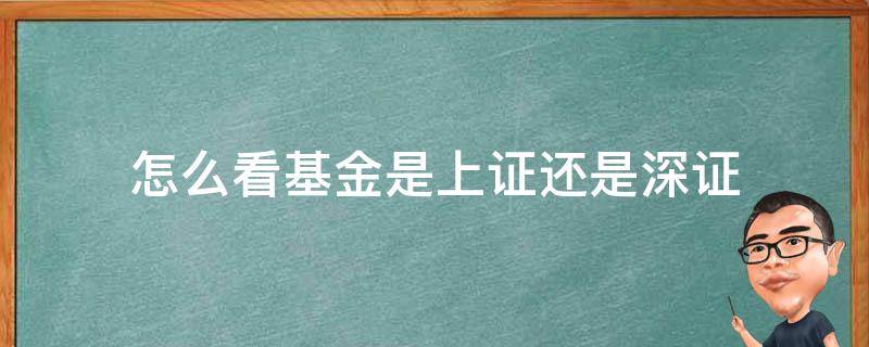 怎么看基金是上证还是深证（怎么看基金是上证还是深证还是中证）