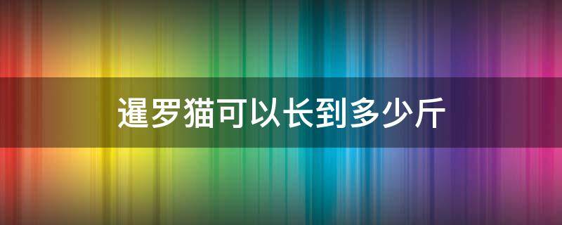 暹罗猫可以长到多少斤 暹罗猫母猫最大能长多少斤