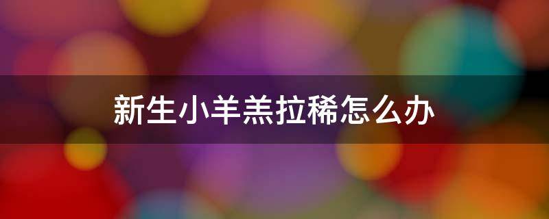 新生小羊羔拉稀怎么办 新生羊羔拉稀怎么治