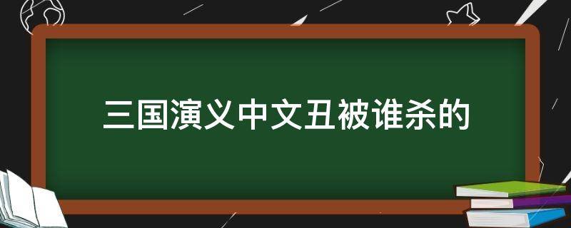 三国演义中文丑被谁杀的（三国演义文丑被谁杀了）