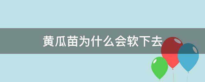 黄瓜苗为什么会软下去（黄瓜苗为什么变黄）