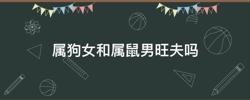 属狗女和属鼠男旺夫吗 属狗女和属鼠男适合做夫妻吗