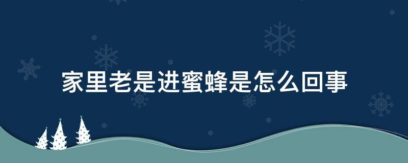 家里老是进蜜蜂是怎么回事 家里面老是进蜜蜂