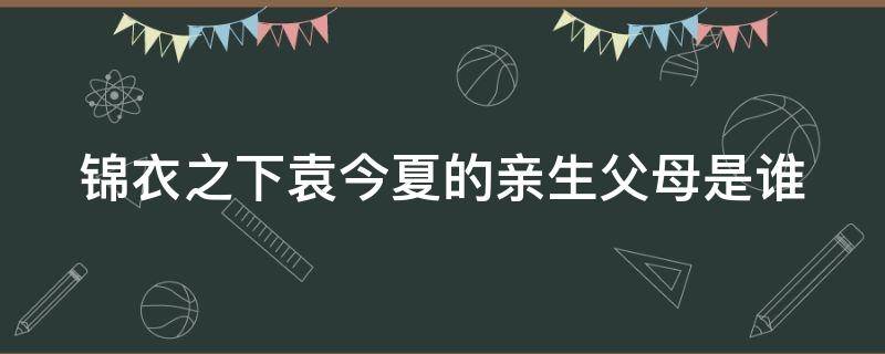 锦衣之下袁今夏的亲生父母是谁 陆绎要了今夏落红