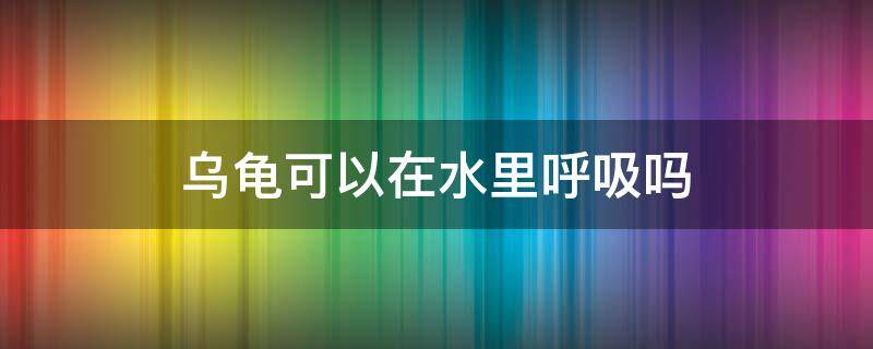 乌龟可以在水里呼吸吗 乌龟能够在水中呼吸吗