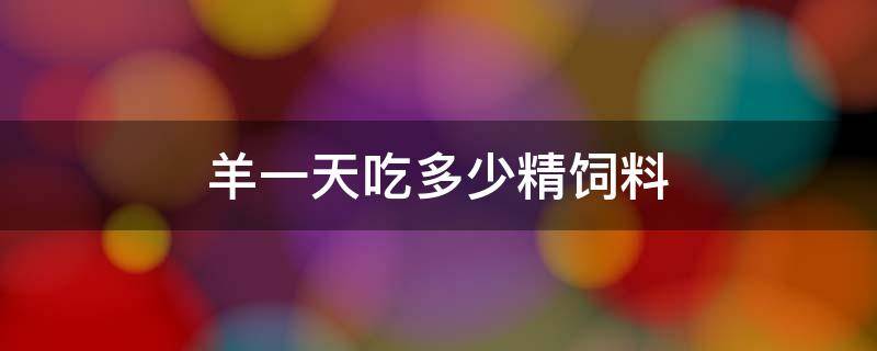 羊一天吃多少精饲料 养羊每天喂多少精饲料