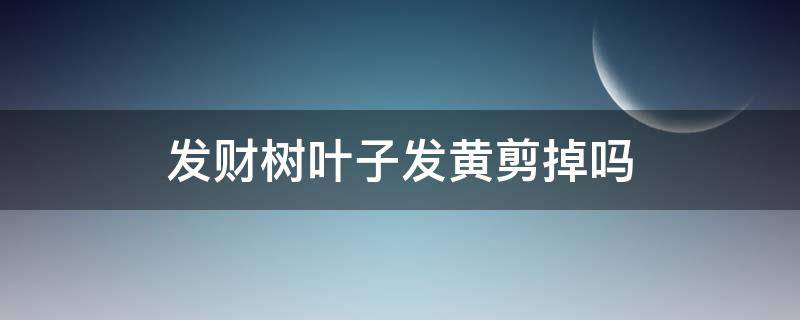 发财树叶子发黄剪掉吗（发财树黄叶能剪掉吗）