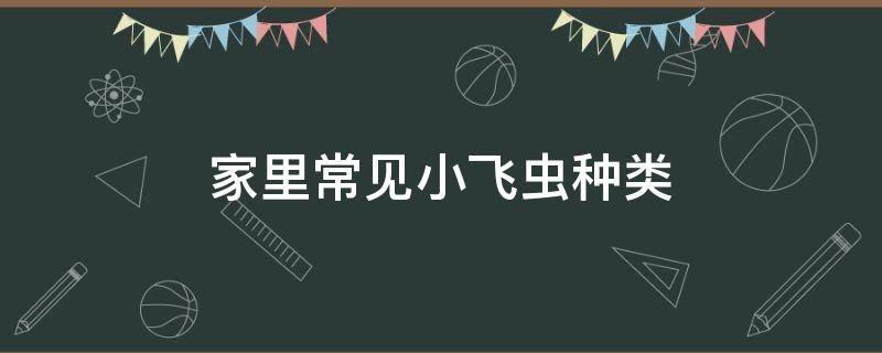 家里常见小飞虫种类 家里小飞虫有几种