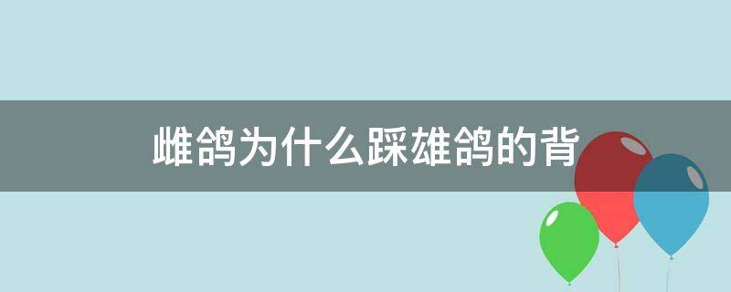 雌鸽为什么踩雄鸽的背 雌鸽会踩雄鸽背吗