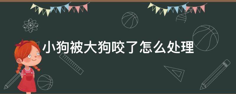 小狗被大狗咬了怎么处理（小狗被大狗咬了怎么处理可以喂阿莫西林吗）