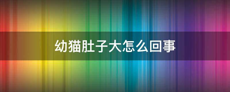 幼猫肚子大怎么回事（幼猫肚子大是怎么回事）