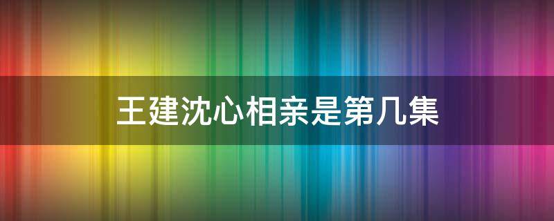 王建沈心相亲是第几集 再婚进行时沈心和王健相亲是哪一集