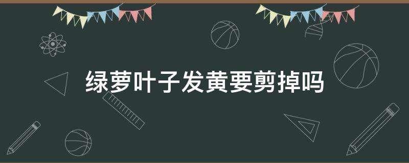 绿萝叶子发黄要剪掉吗 绿萝叶子黄了剪掉黄叶还会生长起来吗