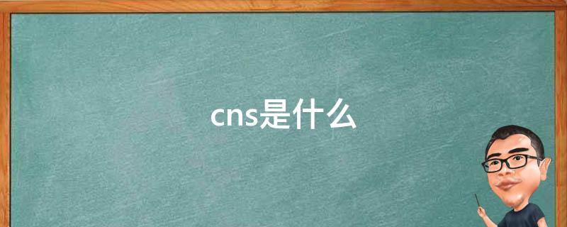 cns是什么 cns是什么意思