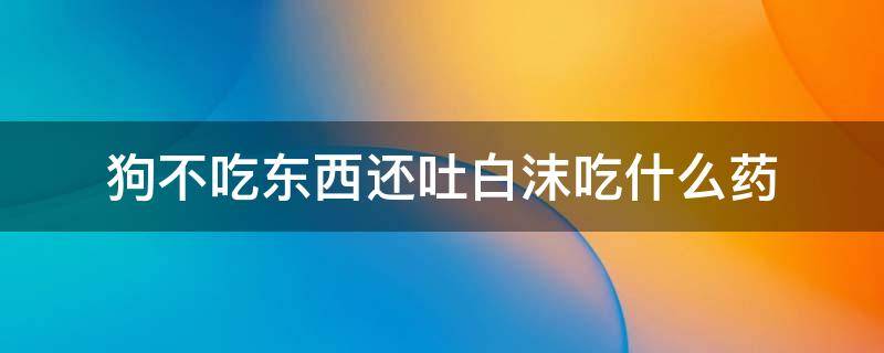 狗不吃东西还吐白沫吃什么药 狗狗吐白沫不进食吃什么药