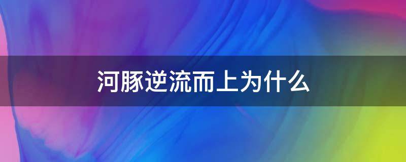 河豚逆流而上为什么 河豚为什么要逆流