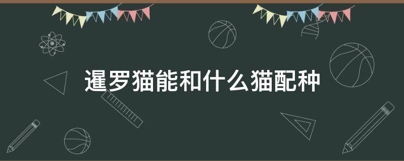 暹罗猫能和什么猫配种（暹罗猫和什么猫杂交好）