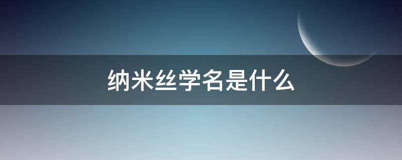 纳米丝学名是什么（纳米又叫什么）