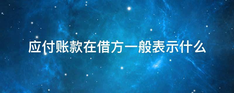 应付账款在借方一般表示什么 应付账款在借贷方表示什么