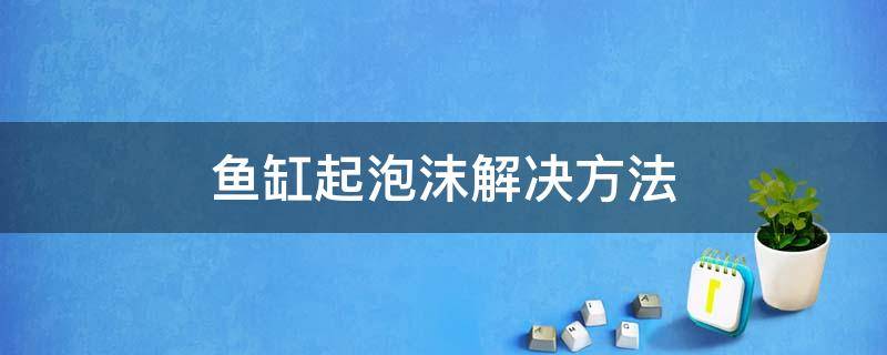 鱼缸起泡沫解决方法 海鲜鱼缸起泡沫解决方法