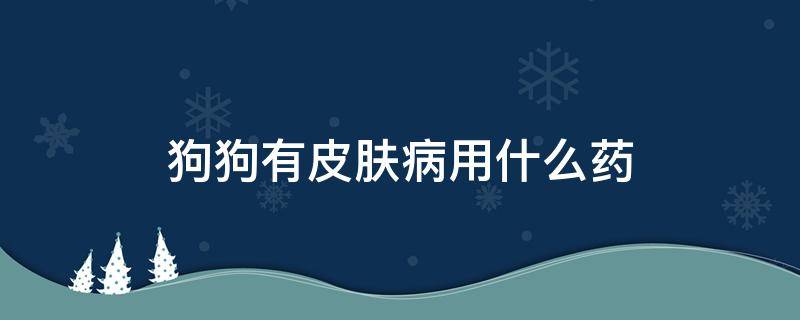 狗狗有皮肤病用什么药（狗狗有皮肤病用什么药好得快）