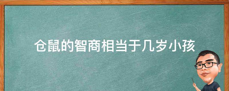 仓鼠的智商相当于几岁小孩 仓鼠的智商相当于几岁小孩的智商