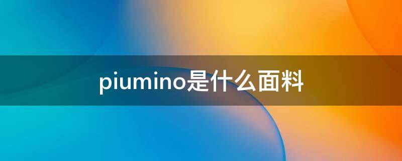 piumino是什么面料（plum是什么牌子）