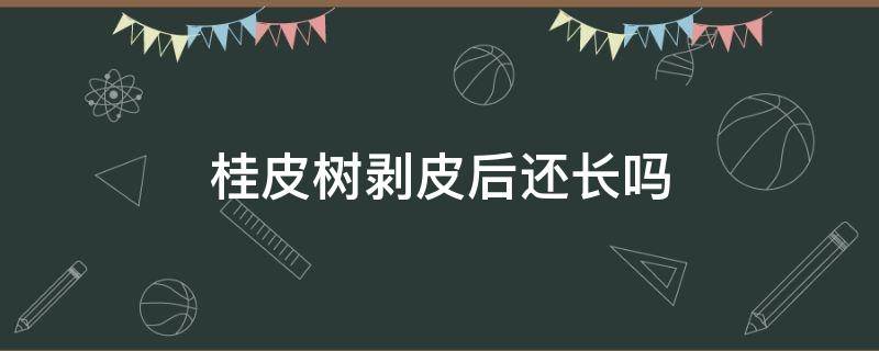 桂皮树剥皮后还长吗（桂皮树剥皮后还能长新皮吗）